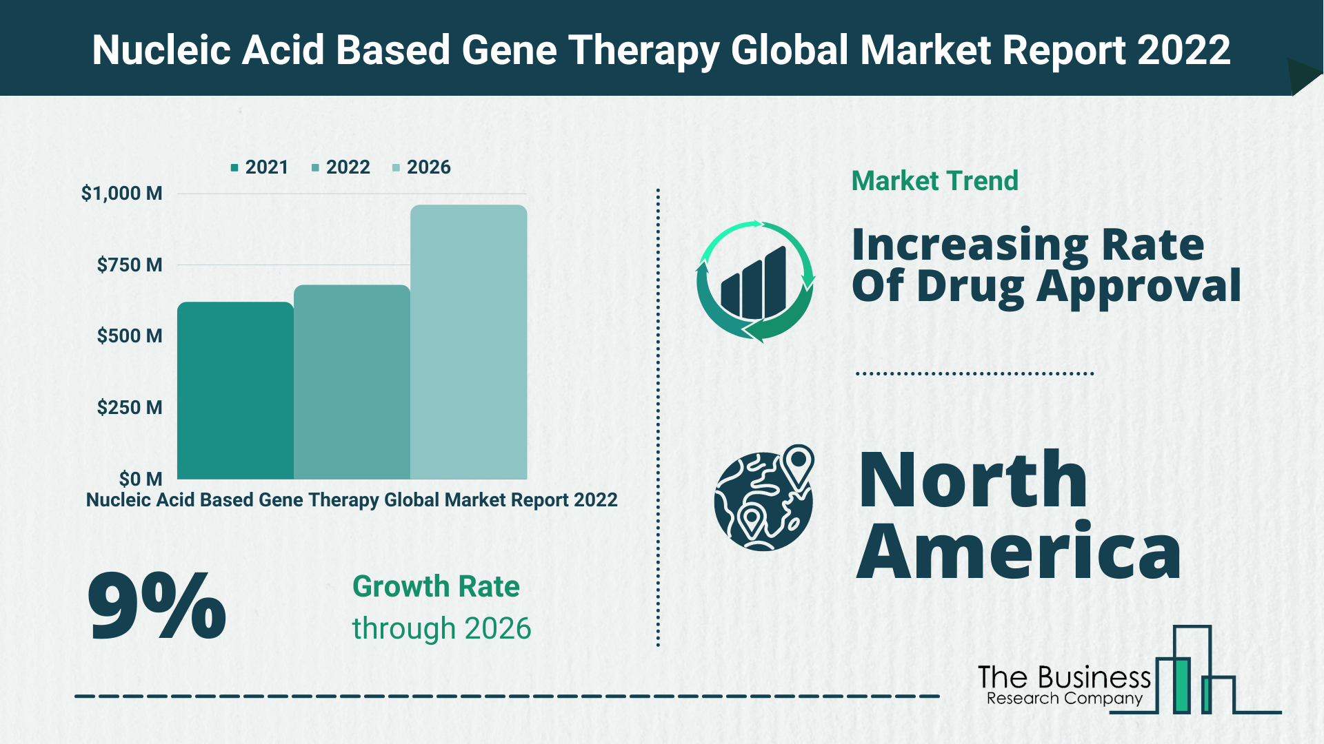How Will The Nucleic Acid-Based Gene Therapy Market Grow In 2022?