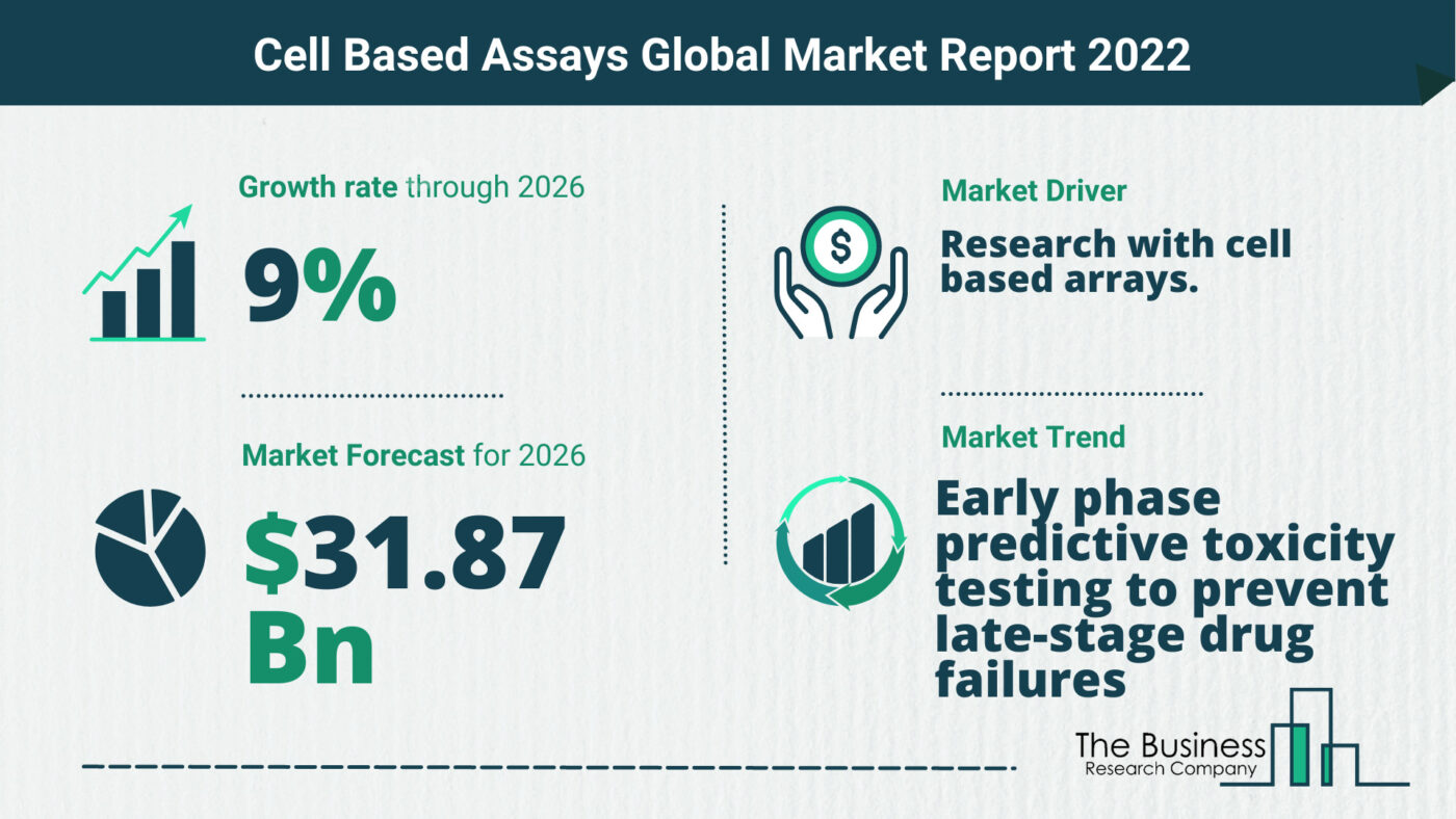 The Cell Based Assays Market Share, Market Size, And Growth Rate 2022