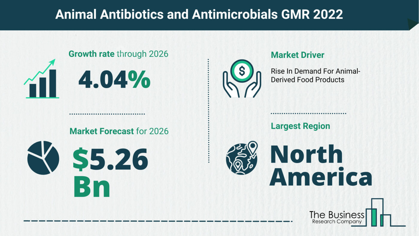 The Animal Antibiotics and Antimicrobials Market Share, Market Size, And Growth Rate 2022