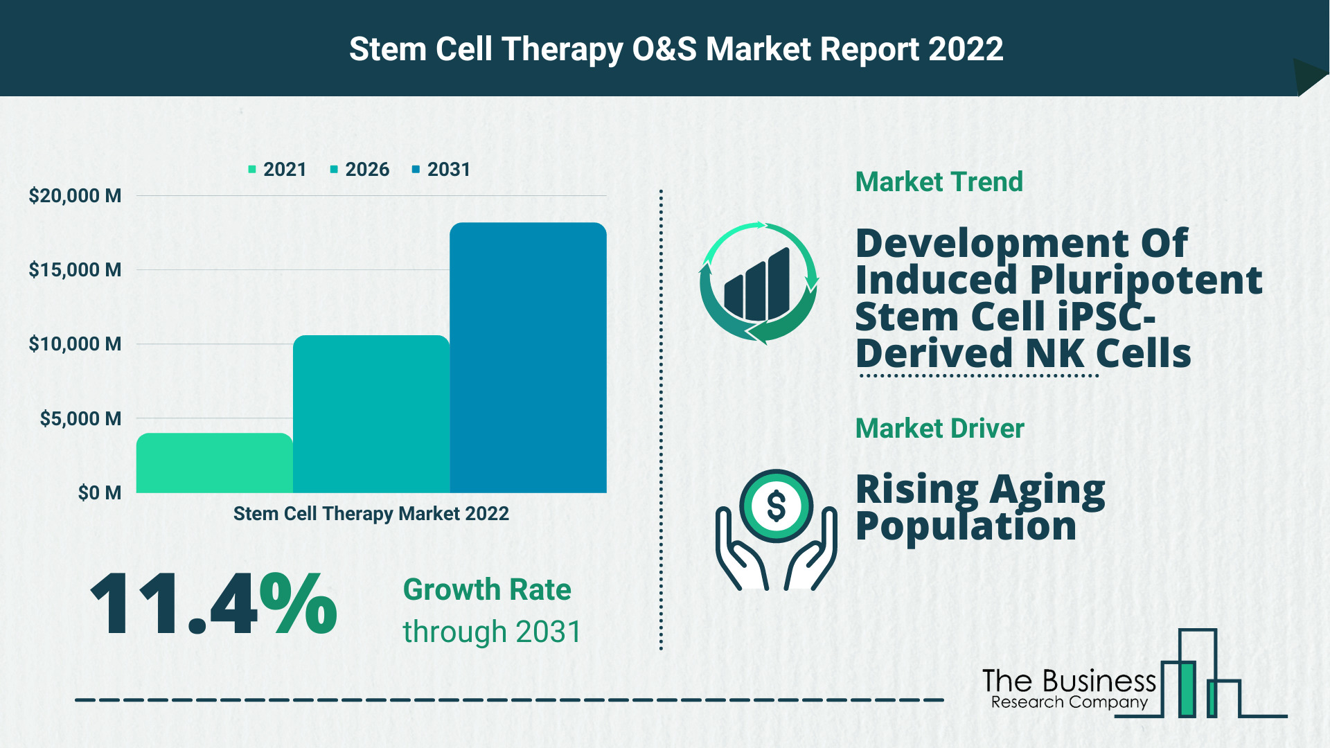 Key Opportunities And Strategies In The Stem Cell Therapy Market