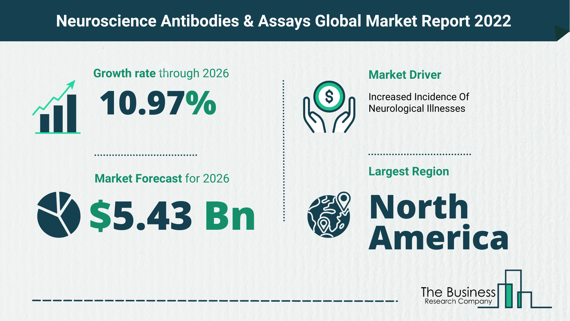Global Neuroscience Antibodies & Assays Market 2022 – Market Opportunities And Strategies