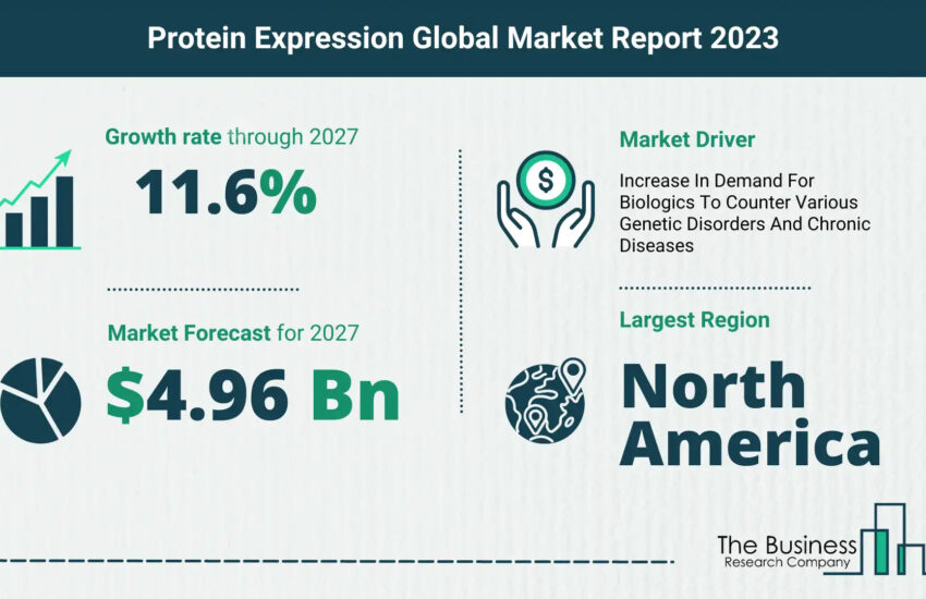 Global Protein Expression Market Size