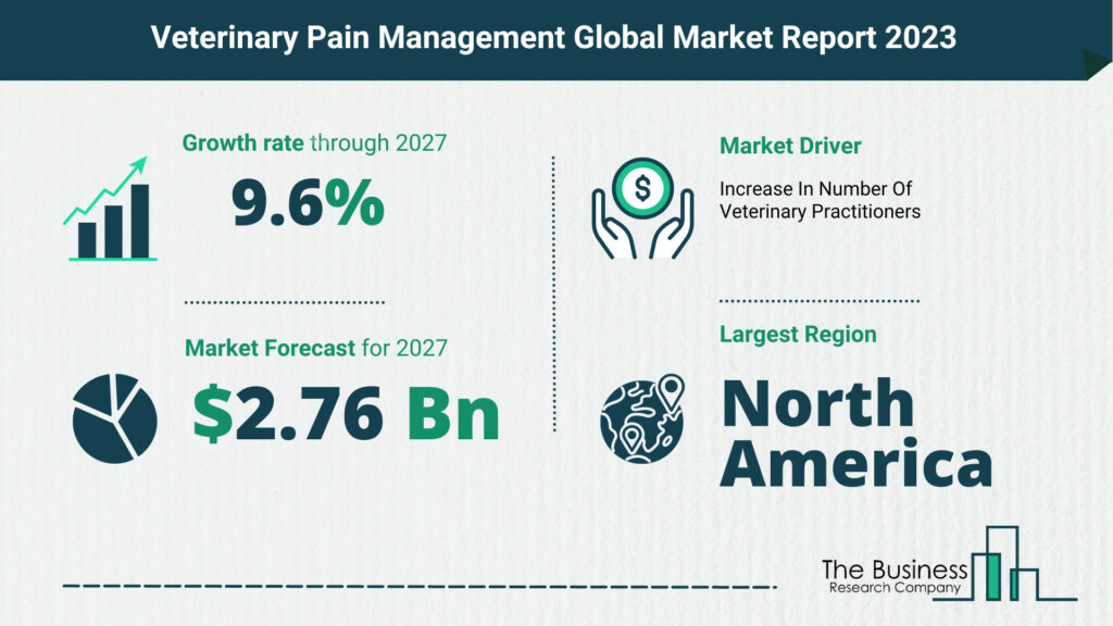 Global Veterinary Pain Management Market