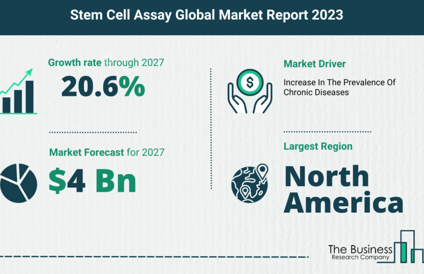 stem cell assay market