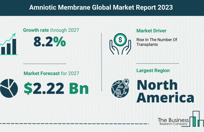 Global Amniotic Membrane Market Size