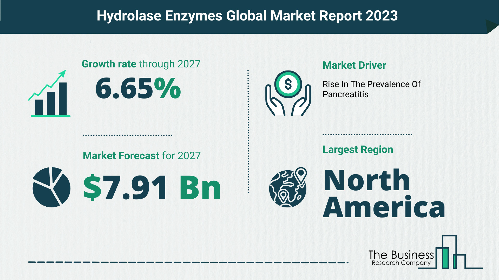 Hydrolase Enzymes Market Size, Share, And Growth Rate Analysis 2023