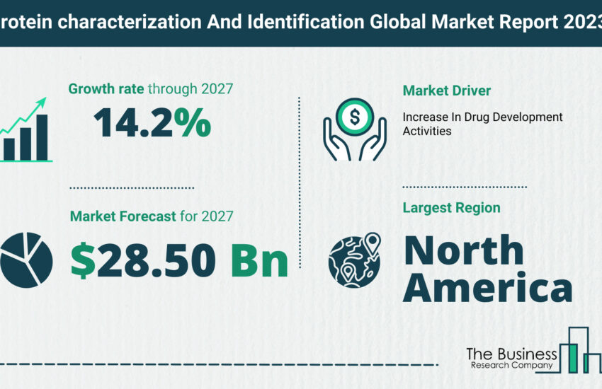 Global Protein characterization And Identification Market