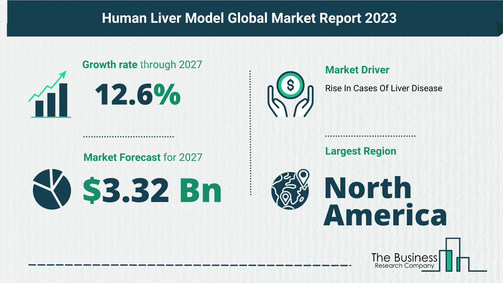 Overview Of The Human Liver Model Market 2023: Size, Drivers, And Trends