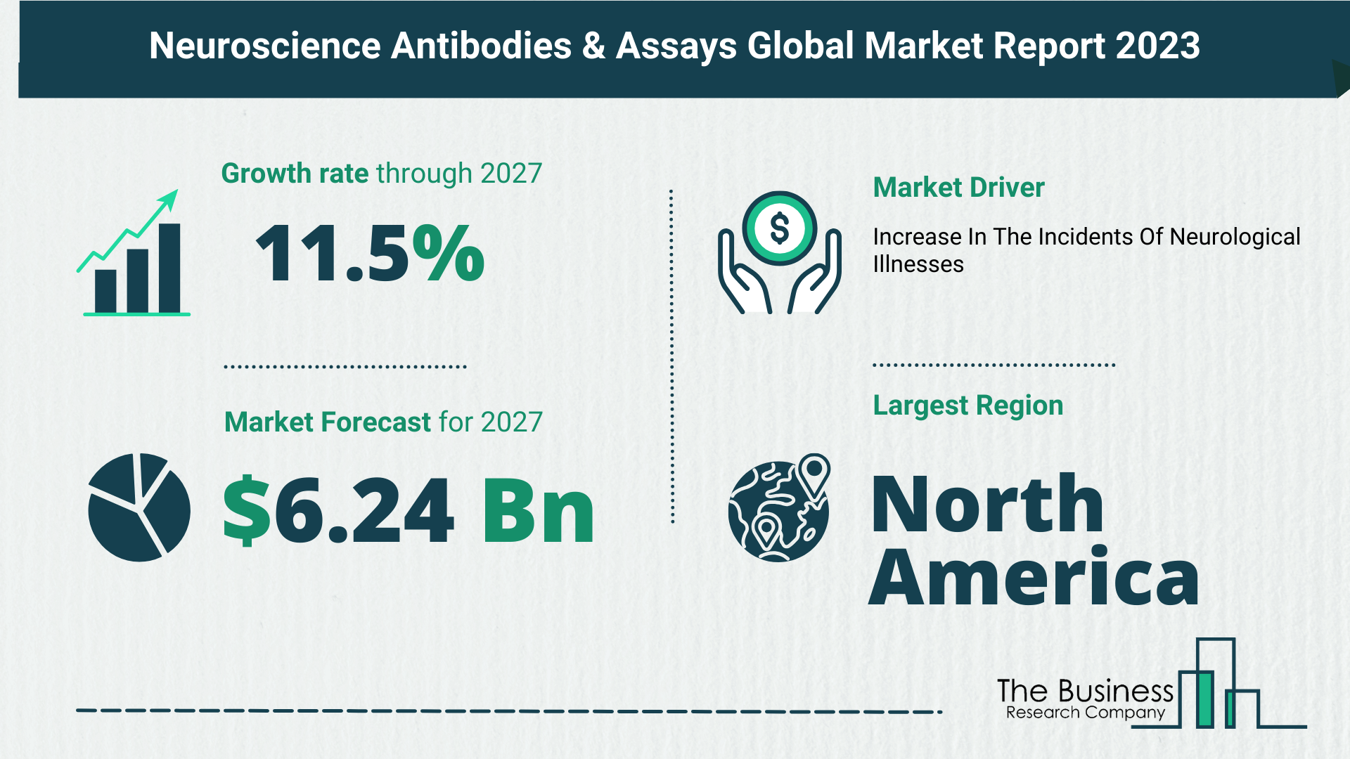 Global Neuroscience Antibodies & Assays Market Size, Share, Trends And Drivers 2023-2032