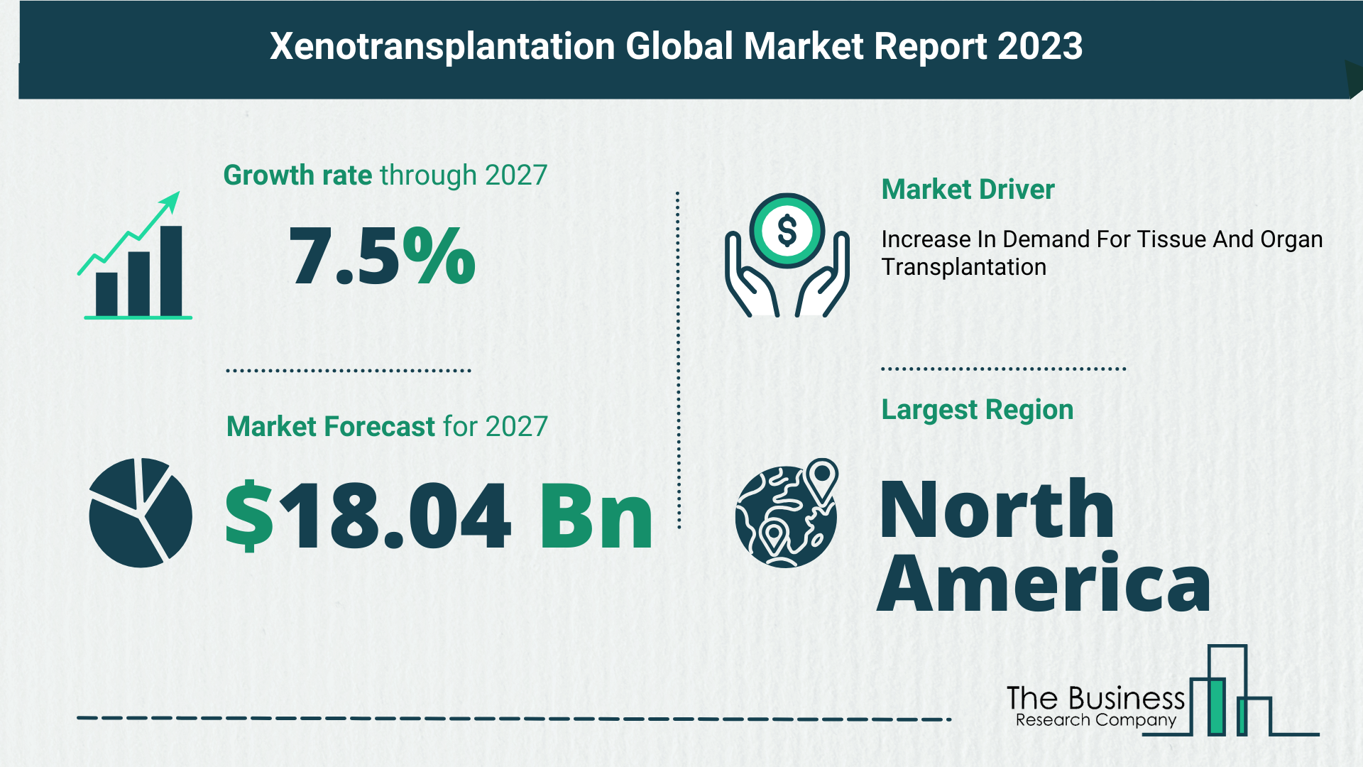 Xenotransplantation Global Market Outlook 2023-2032: Size And Growth Rate Analysis