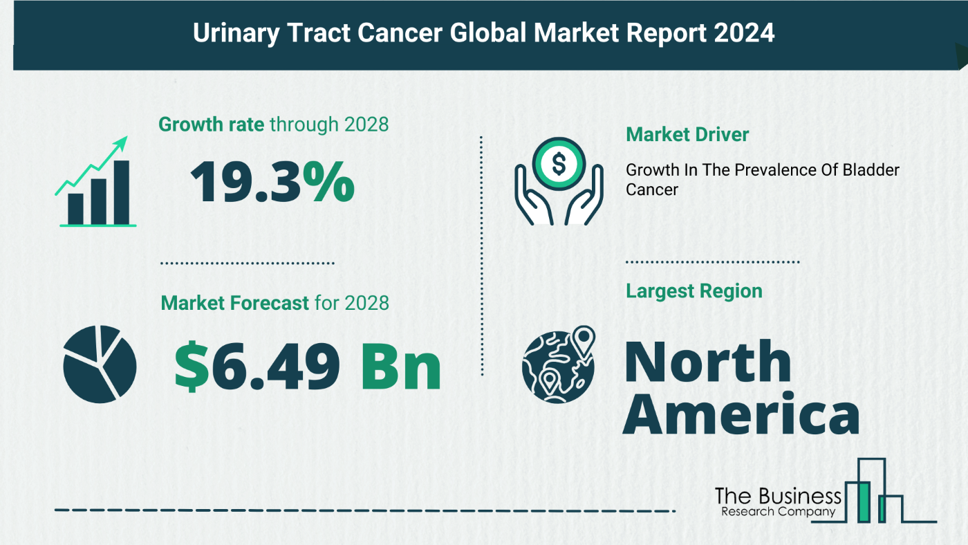 Urinary Tract Cancer Global Market Outlook 2024-2033: Size And Growth Rate Analysis