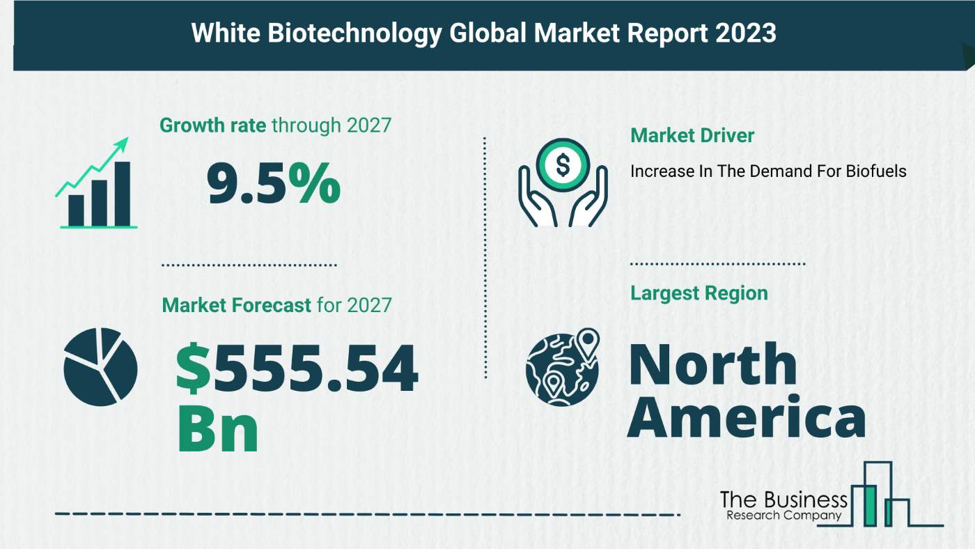 White Biotechnology Global Market Outlook 2023-2032: Size And Growth Rate Analysis