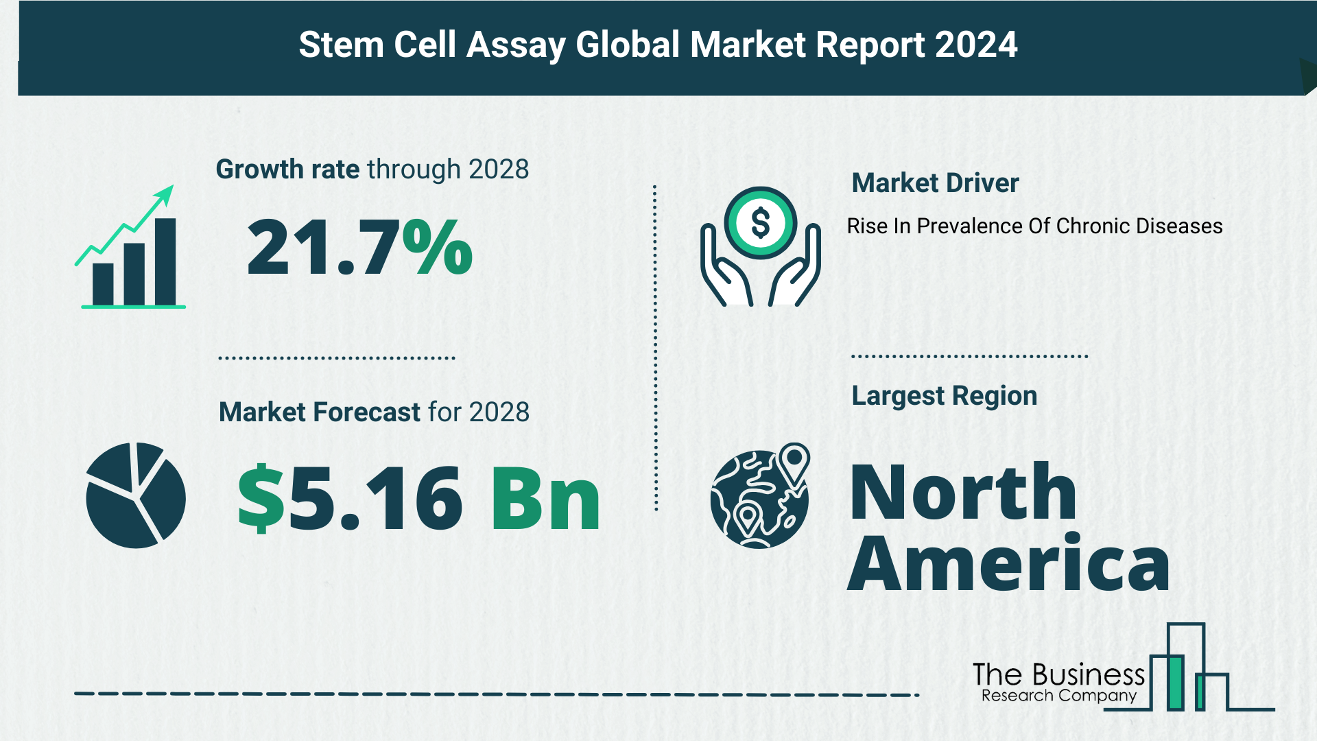Stem Cell Assay Market Report 2024: Market Size, Drivers, And Trends