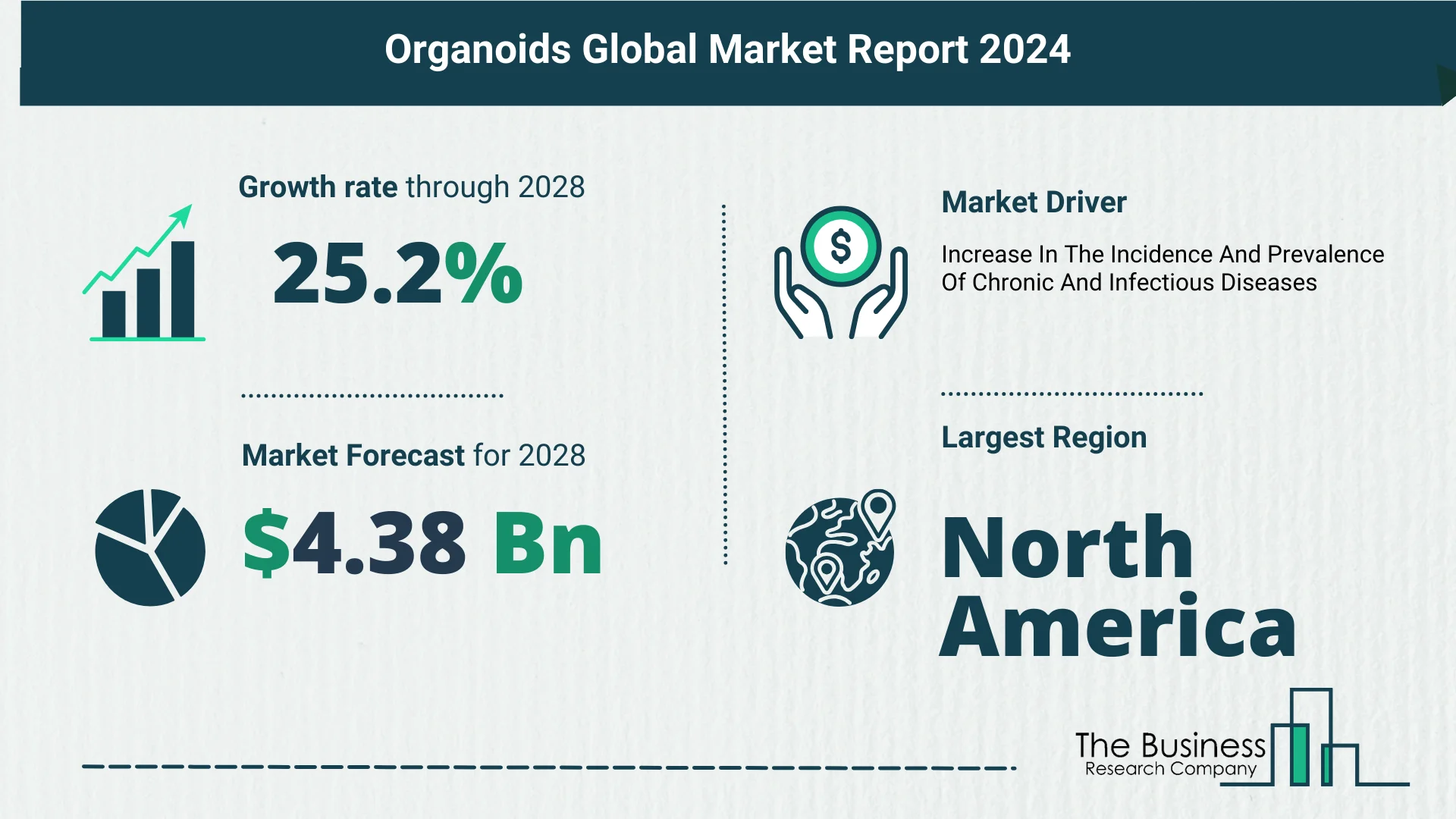 Global Organoids Market Report