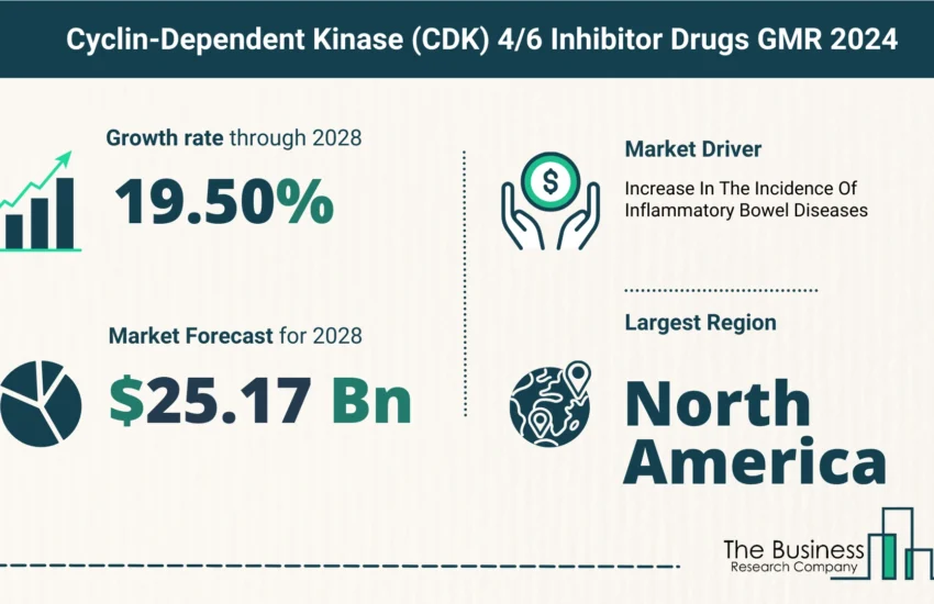 Global Cyclin-Dependent Kinase (CDK) 4 or 6 Inhibitor Drugs Market Size