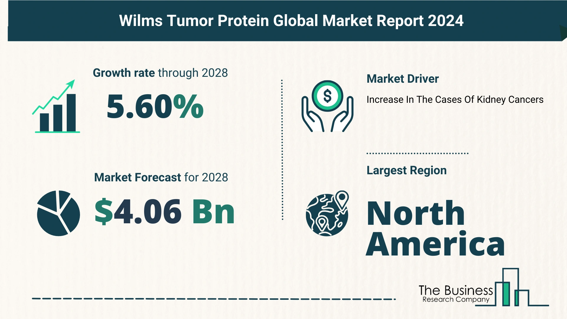 What Is The Forecast Growth Rate For The Wilms Tumor Protein Market?