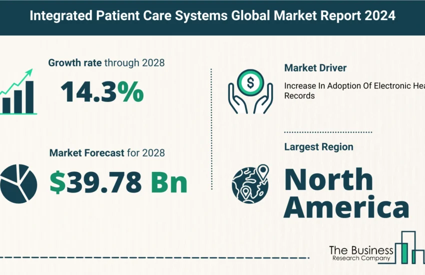 Global Integrated Patient Care System Market Size