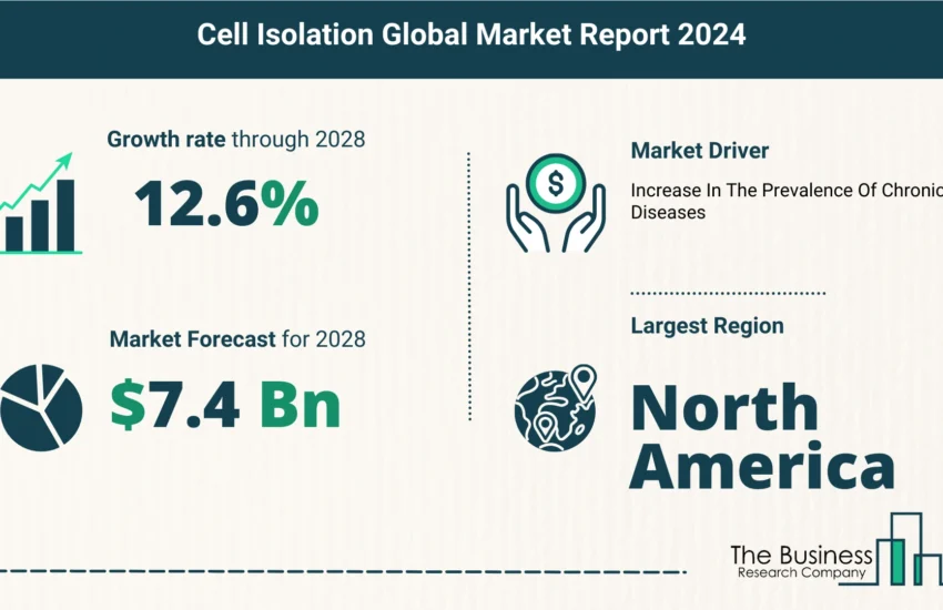 Global Cell Isolation Market Size