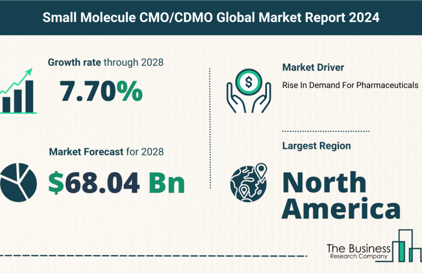 Global Small Molecule CMO or CDMO Market