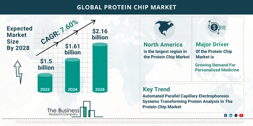 5 Key Insights On The Protein Chip Market 2024