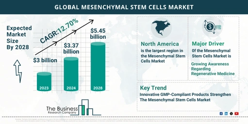 Key Trends And Drivers In The Mesenchymal Stem Cells Market 2024