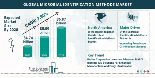 Overview Of The Microbial Identification Methods Market 2024-2033: Growth And Major Players Analysis