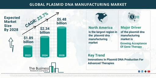 Global Plasmid DNA Manufacturing Market