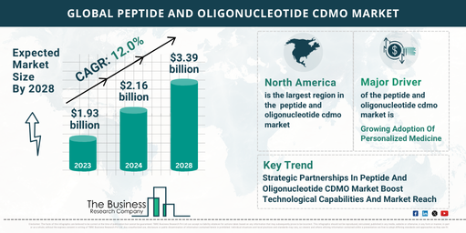 2024 Peptide And Oligonucleotide CDMO Market Overview: Key Insights on Size, Share, and Trends