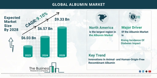 5 Key Insights On The Albumin Market 2024