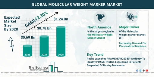 Understand How The Molecular Weight Marker Market Is Poised To Grow Through 2024-2033