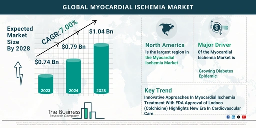 Myocardial Ischemia Global Market Outlook 2024-2033: Size And Growth Rate Analysis