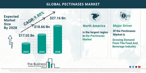 5 Key Insights On The Pectinases Market 2024