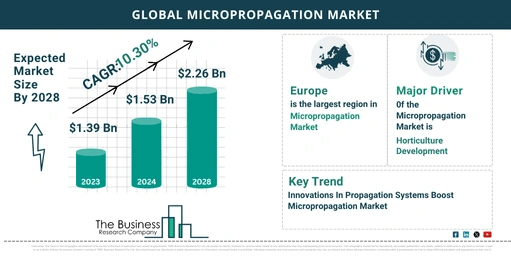 Global Micropropagation Market Analysis: Estimated Market Size And Growth Rate