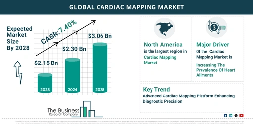 Global Cardiac Mapping Market