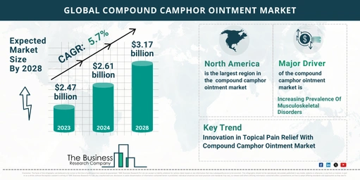 Overview Of The Compound Camphor Ointment Market 2024-2033: Growth And Major Players Analysis