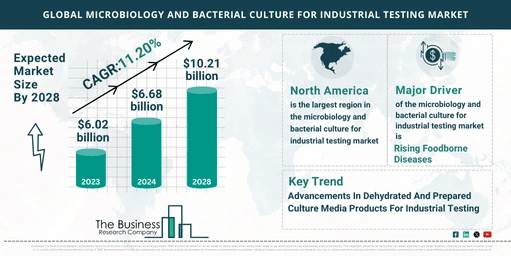 Global Microbiology And Bacterial Culture For Industrial Testing Market