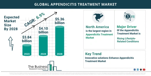 Appendicitis Treatment Market Overview: Market Size, Major Drivers And Trends