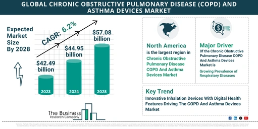 What Are The 5 Takeaways From The Chronic Obstructive Pulmonary Disease (COPD) And Asthma Devices Market Overview 2024