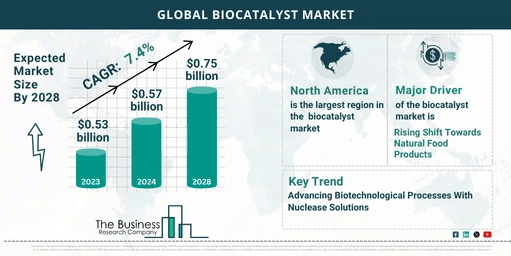 Future Growth Forecast For The Biocatalyst Global Market 2024-2033