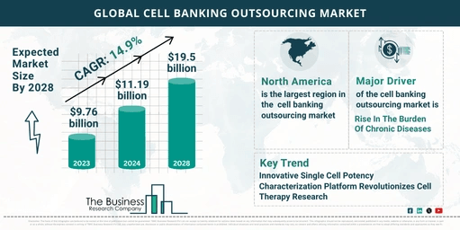 Cell Banking Outsourcing Global Market Outlook 2024-2033: Size And Growth Rate Analysis