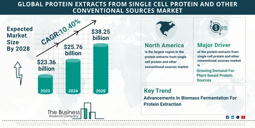 Global Protein Extracts From Single Cell Protein And Other Conventional Sources Market