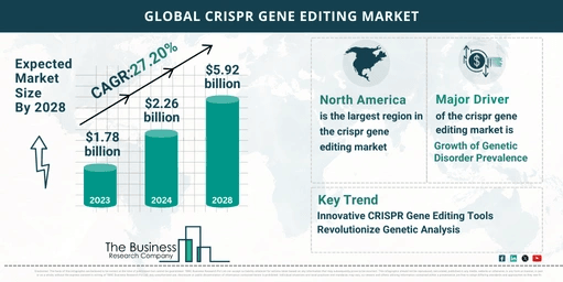 Global CRISPR Gene Editing Market Key Insights 2024-2033