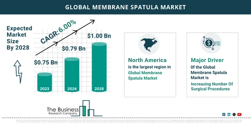 Global Membrane Spatula Market