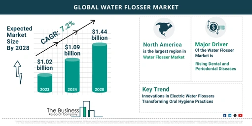 5 Key Insights On The Water Flosser Market 2024