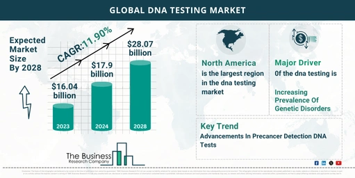 Global DNA Testing Market Analysis: Size, Drivers, Trends, Opportunities, And Strategies