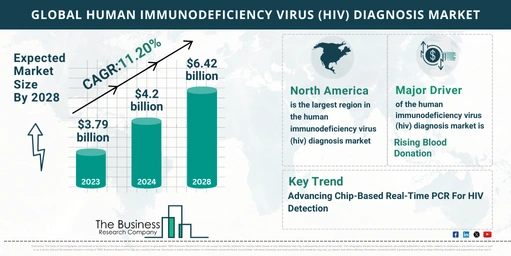 In-Depth 2024 Human Immunodeficiency Virus (HIV) Diagnosis Market Analysis: Growth, Share, and Emerging Trends