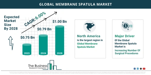 Global Membrane Spatula Market Size