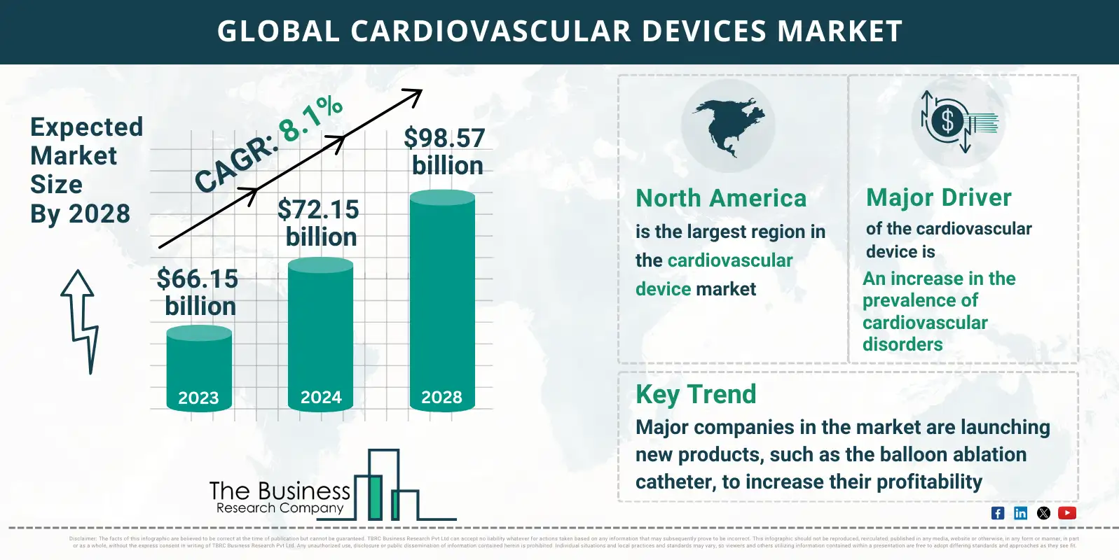 Global Cardiovascular Devices Global Market Report 2024 Market