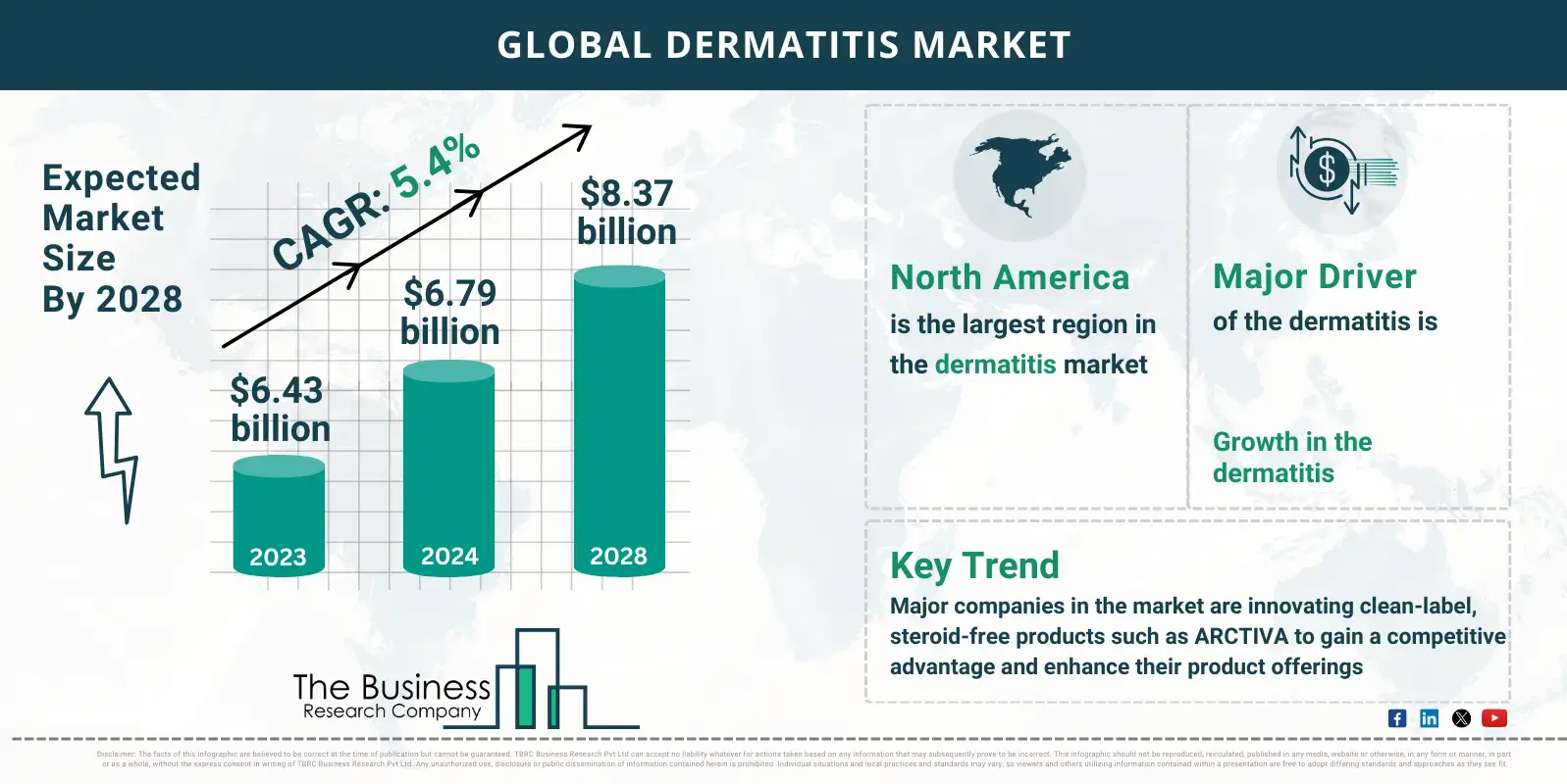 Global Dermatitis Global Market Report 2024 Market