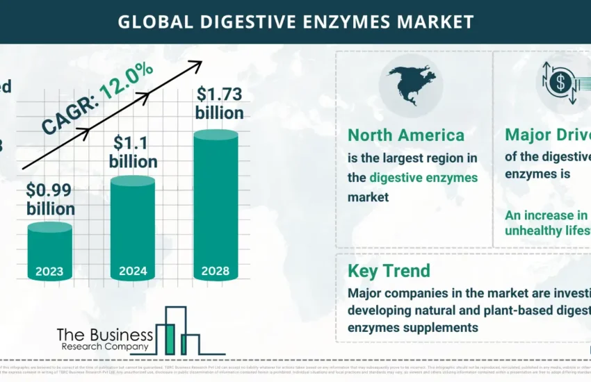 Global Digestive Enzymes Global Market Report 2024 Market